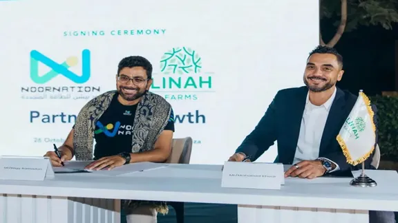 نور نيشن المصرية تجمع 1.05 مليون دولار لتوسيع الري بالطاقة الشمسية